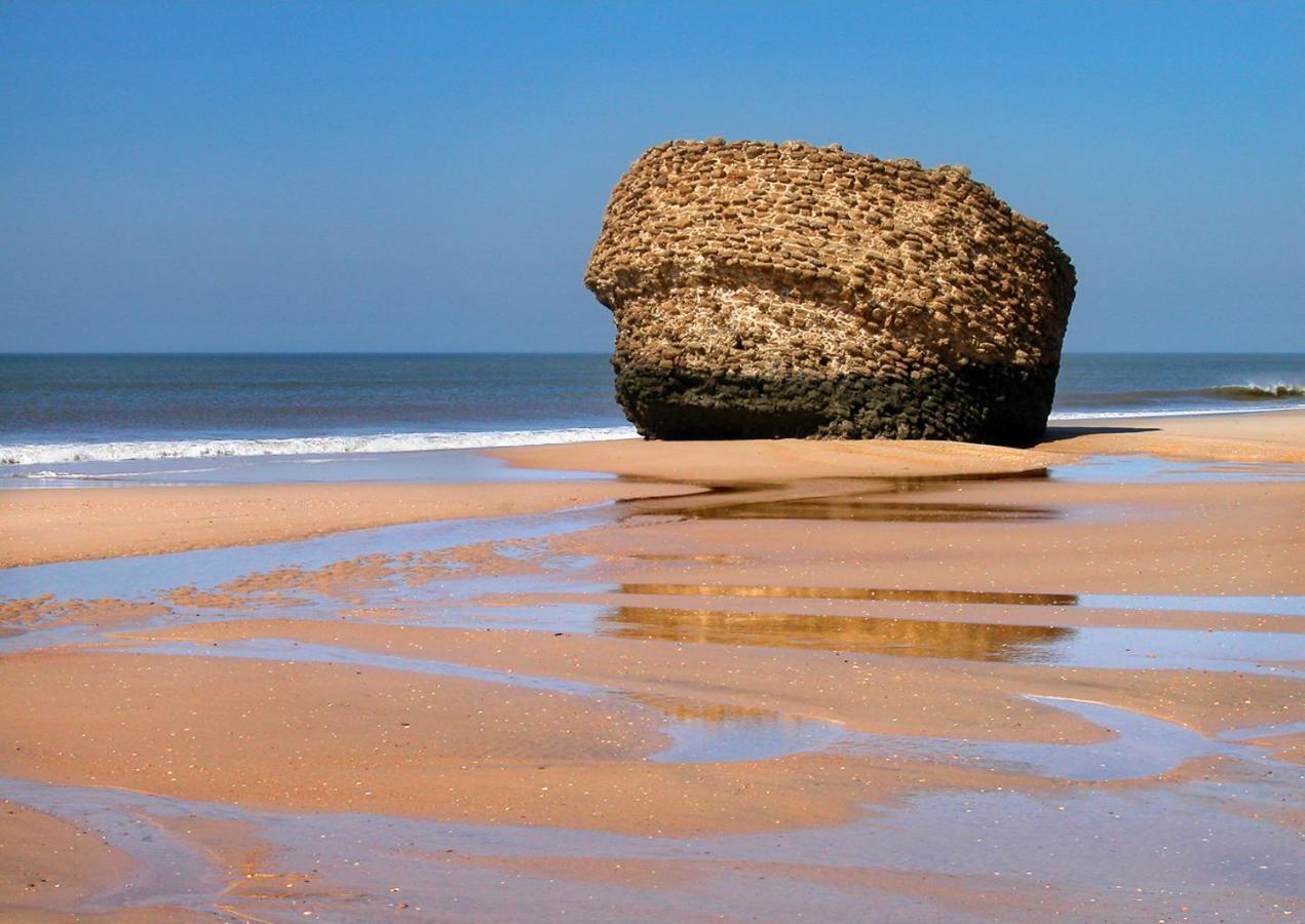 Estudio Primera Linea De Playa มาตาลัสกาญาส ภายนอก รูปภาพ